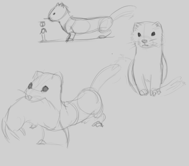 sketches of a stoat